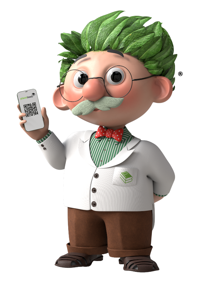 Picture for category 